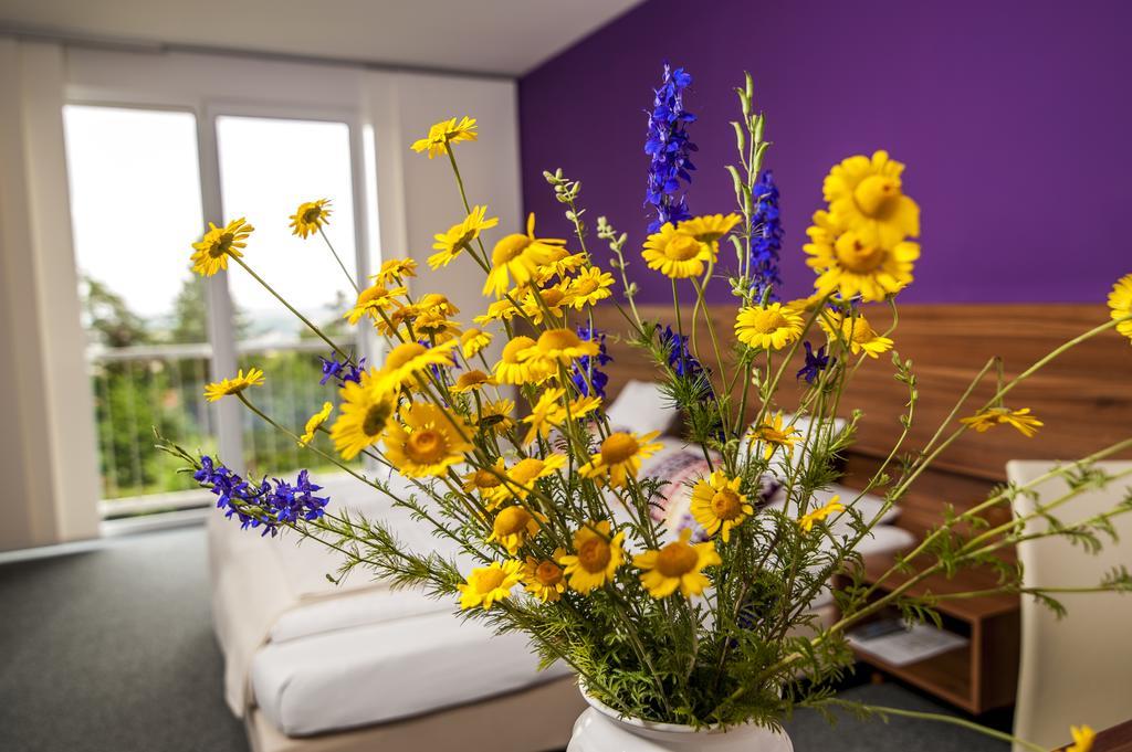 Amethysthotel Mantler Maissau Экстерьер фото
